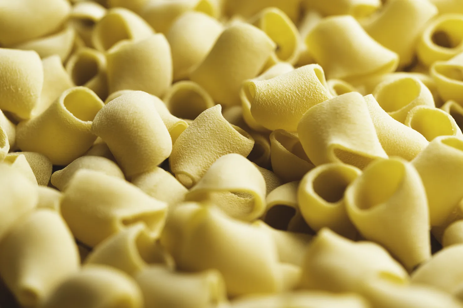 fresh pasta